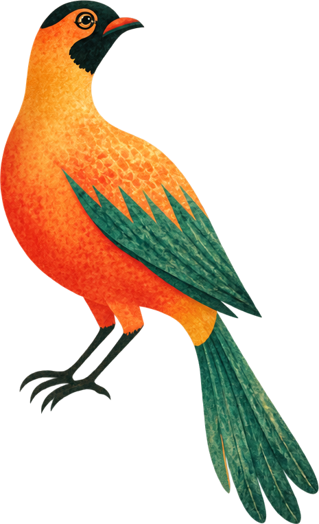 Illustrated bird